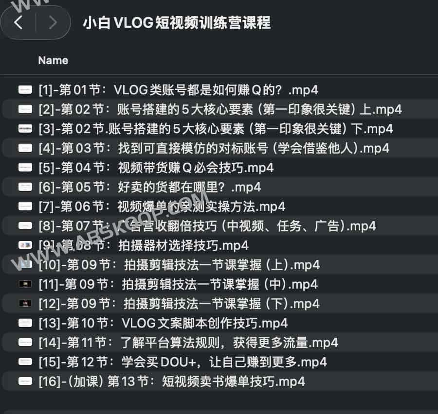 VLOG短视频训练营专业付费课程  从小白到高手，拍出爆款视频-夜猫资源网